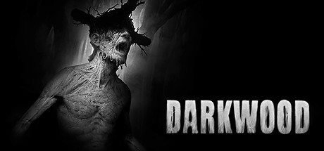 黑色森林/阴暗森林/Darkwood（更新v1.41）-好欧游戏仓库