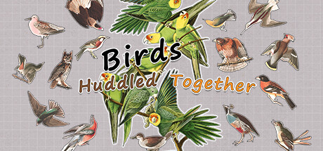 挤在一起的鸟鸟/Birds Huddled Together-好欧游戏仓库