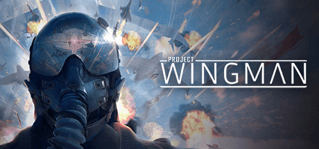 僚机计划/Project Wingman（更新v2.1.0）-好欧游戏仓库