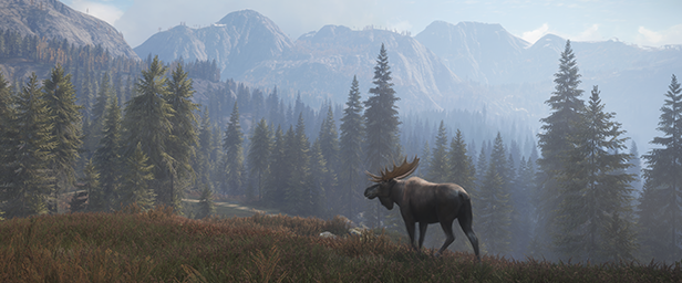 猎人：荒野的召唤/theHunter: Call of the Wild-好欧游戏仓库